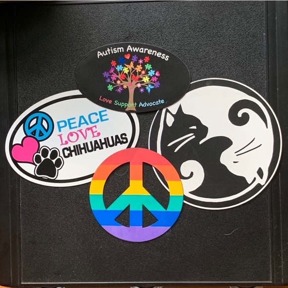 Allergy Alert! Chihuahuas in the house! 😊❤️🐶 - Picture 4 of 6